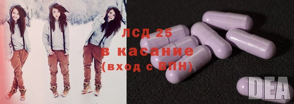 ешки Алексин