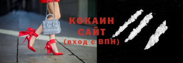 ешки Алексин
