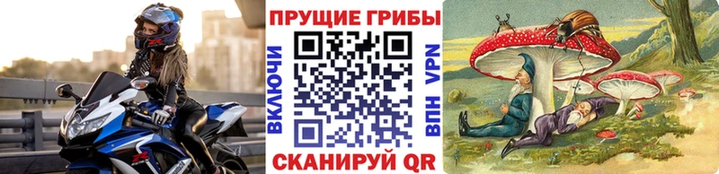 Псилоцибиновые грибы GOLDEN TEACHER  закладка  Белоозёрский 